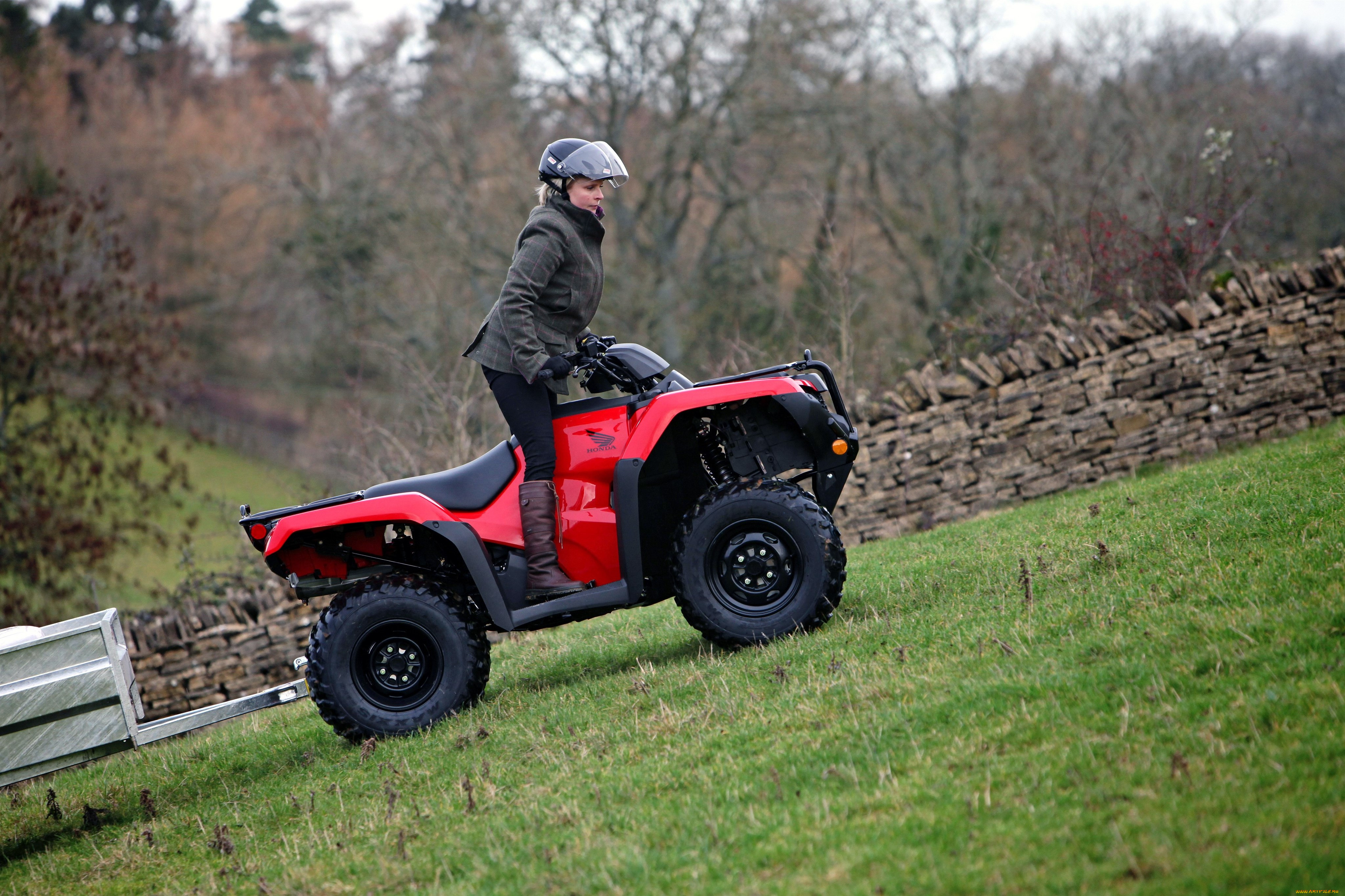 Квадроцикл Honda TRX 420